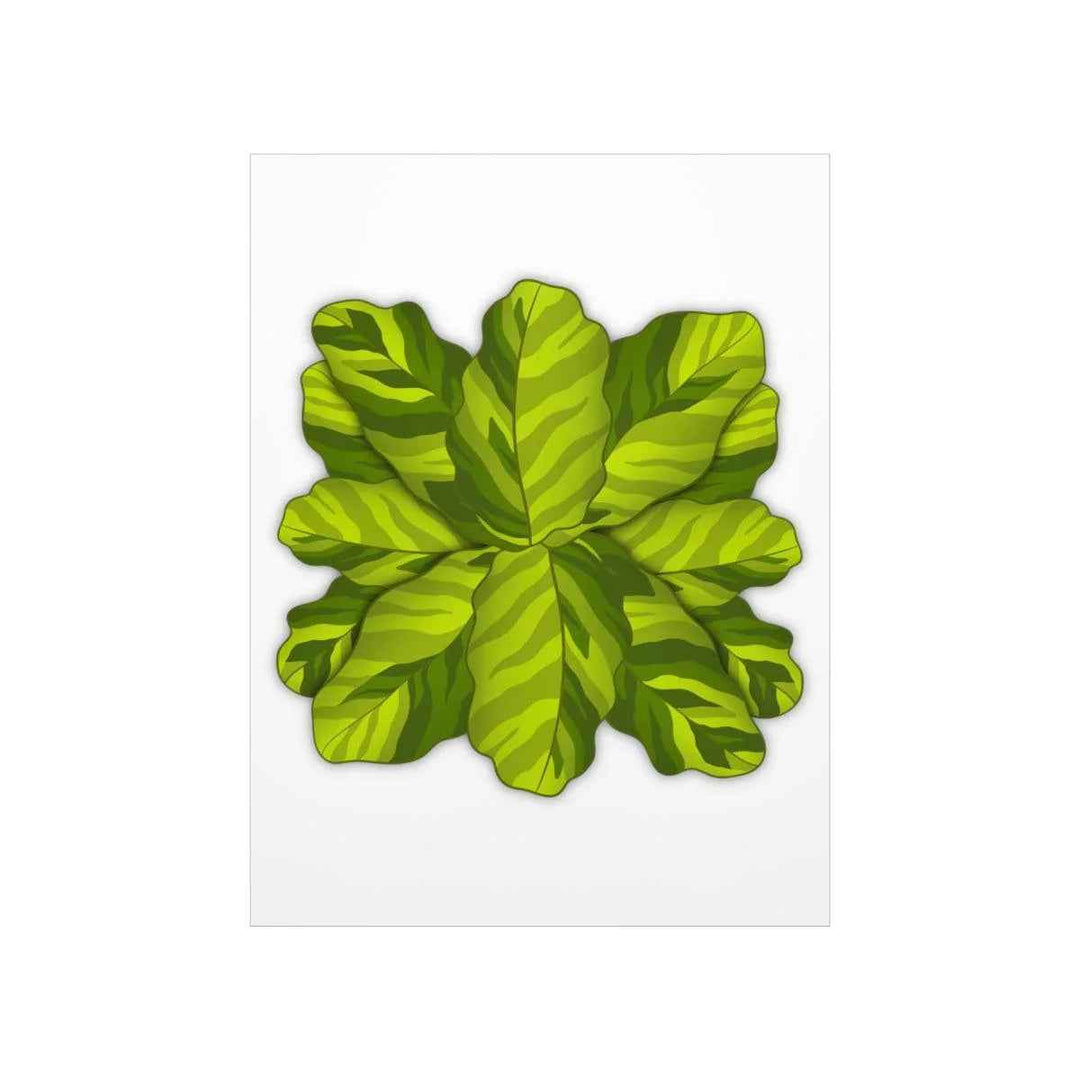 Calathea Yellow Fusion Print – Botanical Wall Art on Museum-Grade Paper Unframed