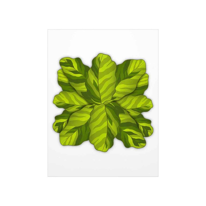 Calathea Yellow Fusion Print – Botanical Wall Art on Museum-Grade Paper Unframed