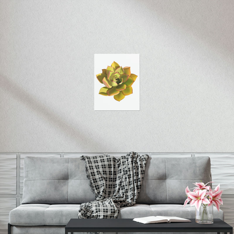 Noble Aeonium Succulent Print