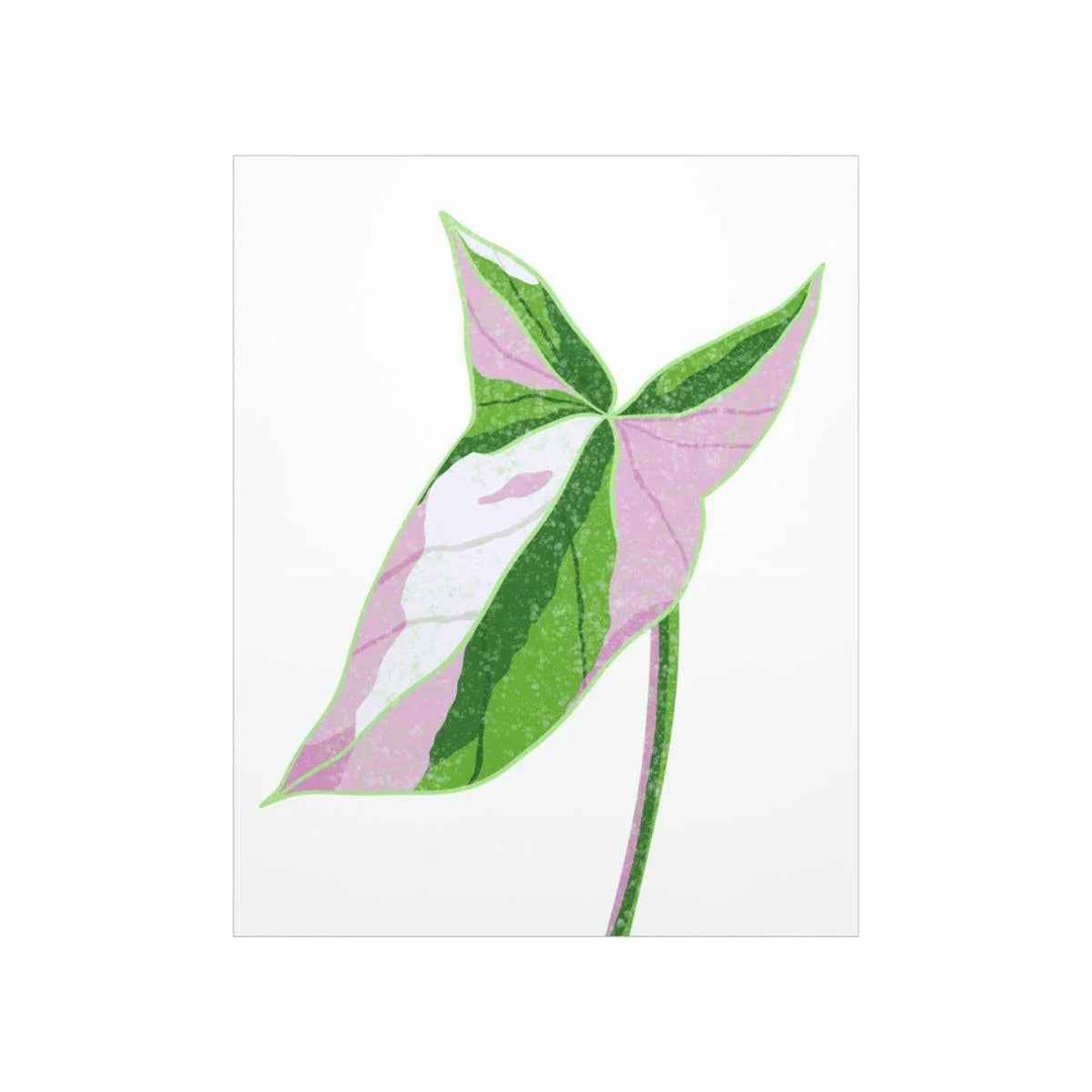 Syngonium Tricolor Print – Botanical Wall Art | Variegated Leaf Poster Unframed
