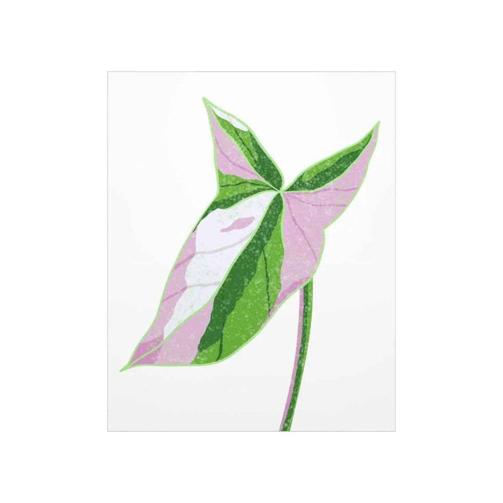 Syngonium Tricolor Print – Botanical Wall Art | Variegated Leaf Poster Unframed