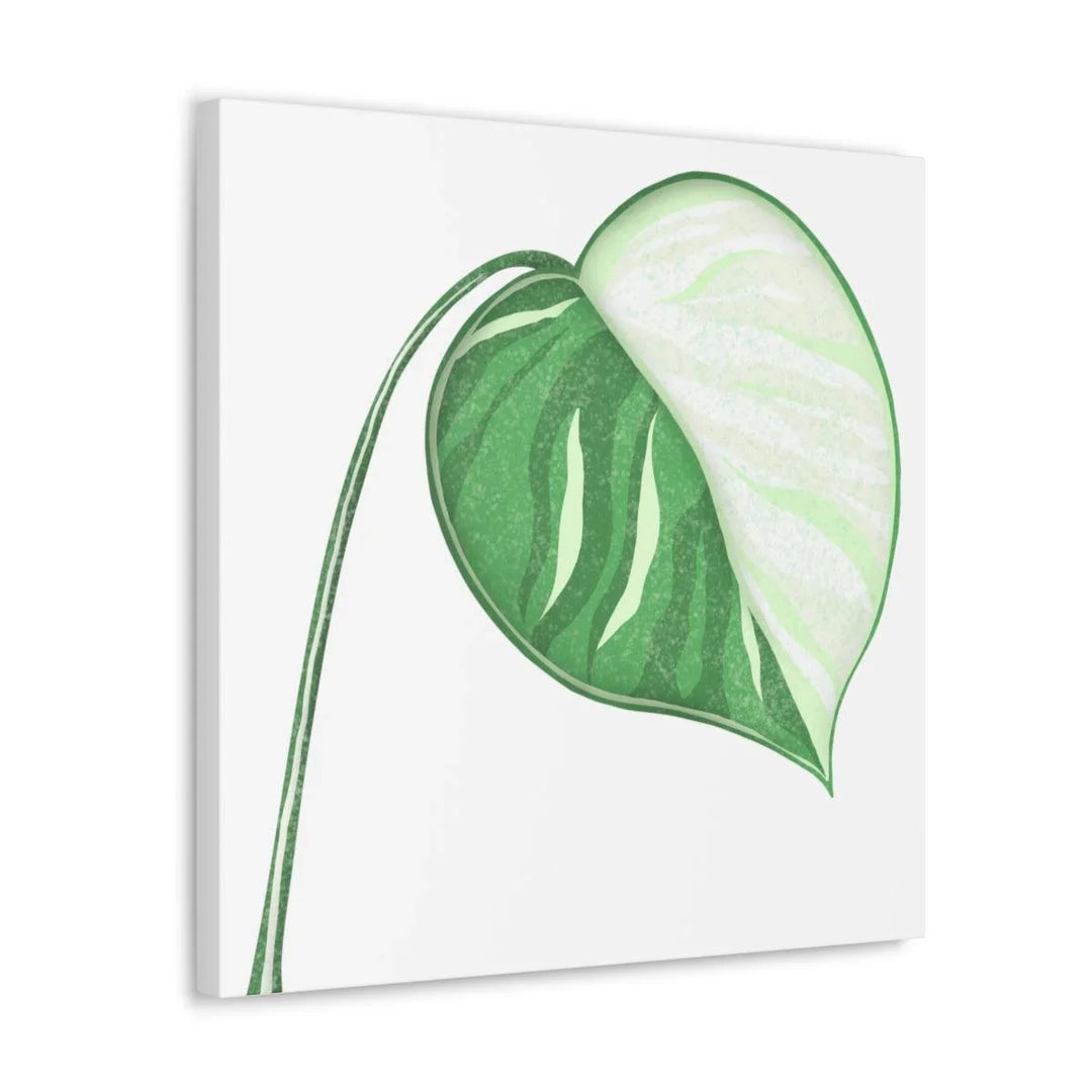 Monstera Albo Canvas | Large Tropical Leaf Artwork - Matte Finish Canvas Art Print - Laura Christine Photography & Design