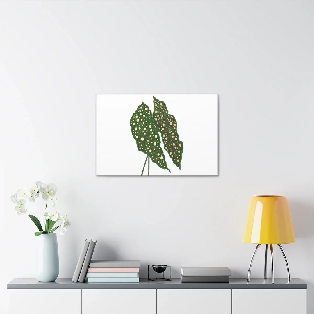 Begonia Maculata Canvas | Premium Canvas Art Print - Matte Finish, Durable Wall Decor - Laura Christine Photography & Design