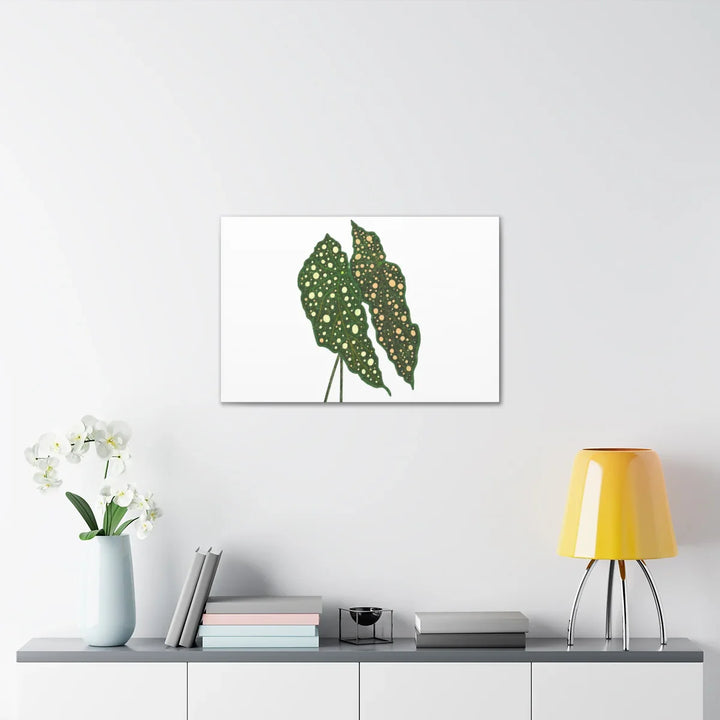 Begonia Maculata Canvas | Premium Canvas Art Print - Matte Finish, Durable Wall Decor - Laura Christine Photography & Design