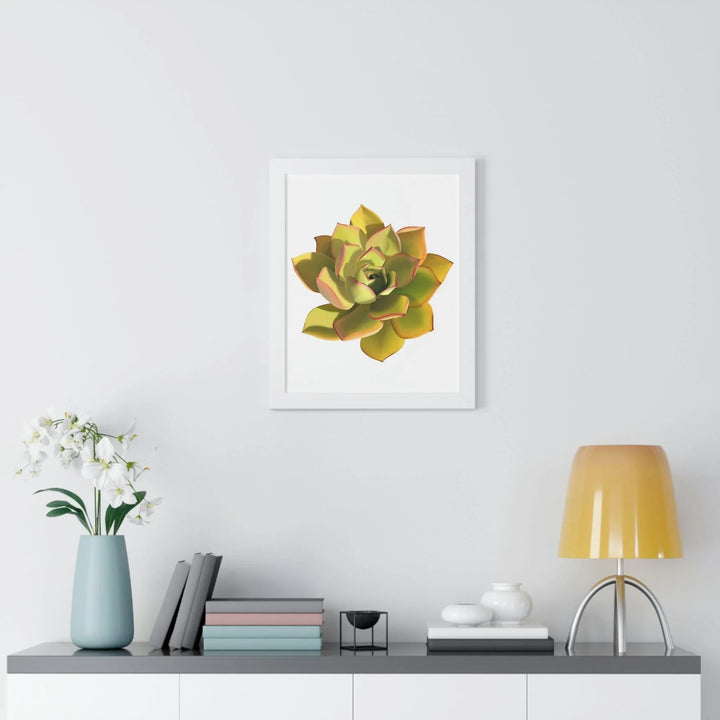 Noble Aeonium Succulent Framed Print, Poster, Printify, Framed, Home & Living, Indoor, Paper, Posters, Laura Christine Photography & Design, laurachristinedesign.com