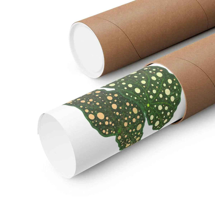 Begonia Maculata Print - Botanical Wall Art on Museum Grade Paper | Matte Finish Unframed