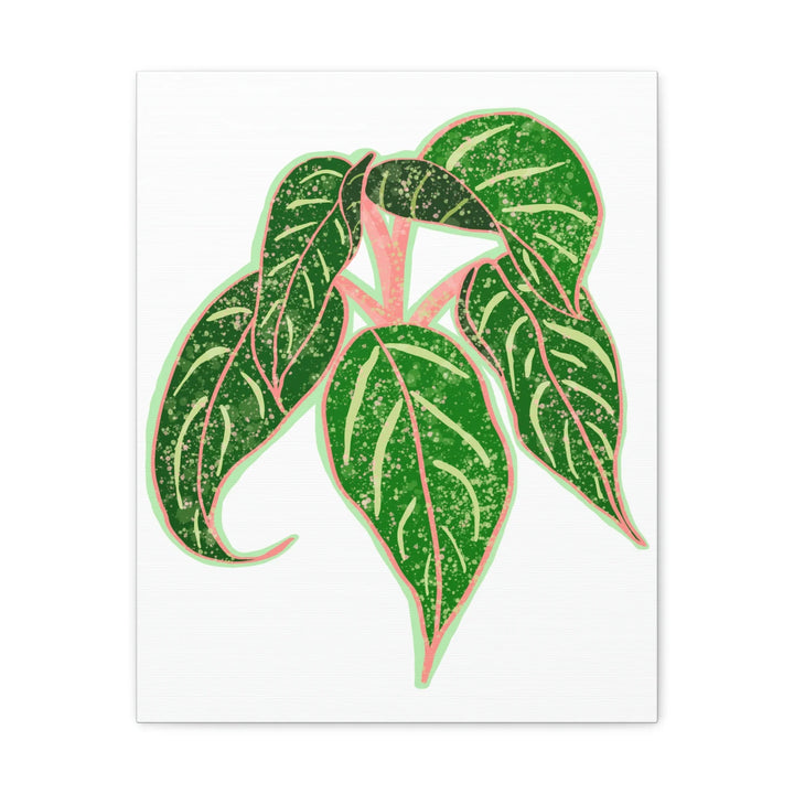 Aglaonema Plant Canvas | Sparkling Plant Artwork - Colorfast Canvas Art Print Decor