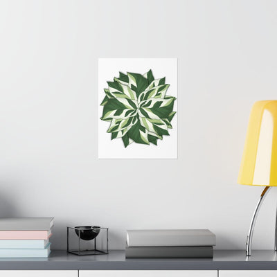 Calathea White Fusion Print, Poster, Laura Christine Photography & Design, Back to School, Bottle, Calathea, Canvas Bag, Coffee, Drinkware, Home & Living, Indoor, Matte, Paper, Posters, Prayer Plant, Reusable, Shopping Bag, Tea, Tote Bag, Travel, Tumbler, Valentine's Day promotion, Water, White Fusion, Laura Christine Photography & Design, laurachristinedesign.com