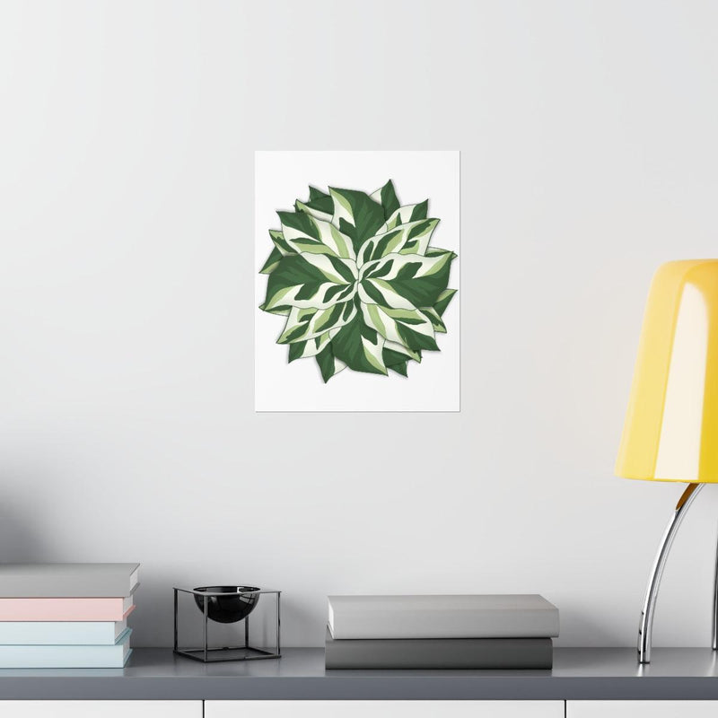 Calathea White Fusion Print, Poster, Laura Christine Photography & Design, Back to School, Bottle, Calathea, Canvas Bag, Coffee, Drinkware, Home & Living, Indoor, Matte, Paper, Posters, Prayer Plant, Reusable, Shopping Bag, Tea, Tote Bag, Travel, Tumbler, Valentine&