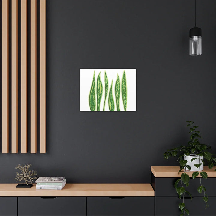 Snake Plant Canvas | Botanical Canvas Decor - Matte Finish Artwork for Living Room - Laura Christine Photography & Design