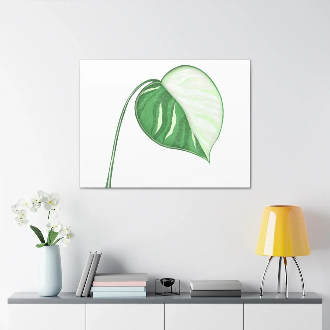 Monstera Albo Canvas | Large Tropical Leaf Artwork - Matte Finish Canvas Art Print - Laura Christine Photography & Design