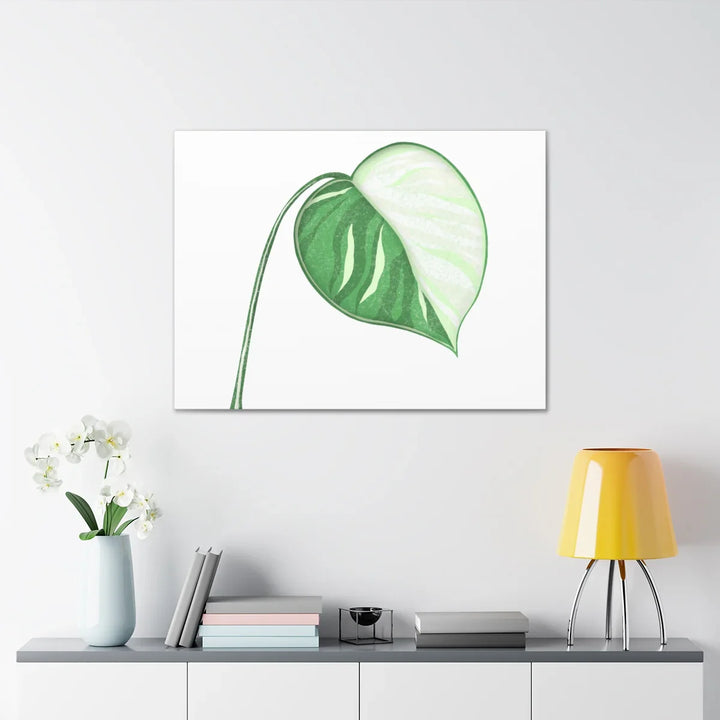 Monstera Albo Canvas | Large Tropical Leaf Artwork - Matte Finish Canvas Art Print - Laura Christine Photography & Design