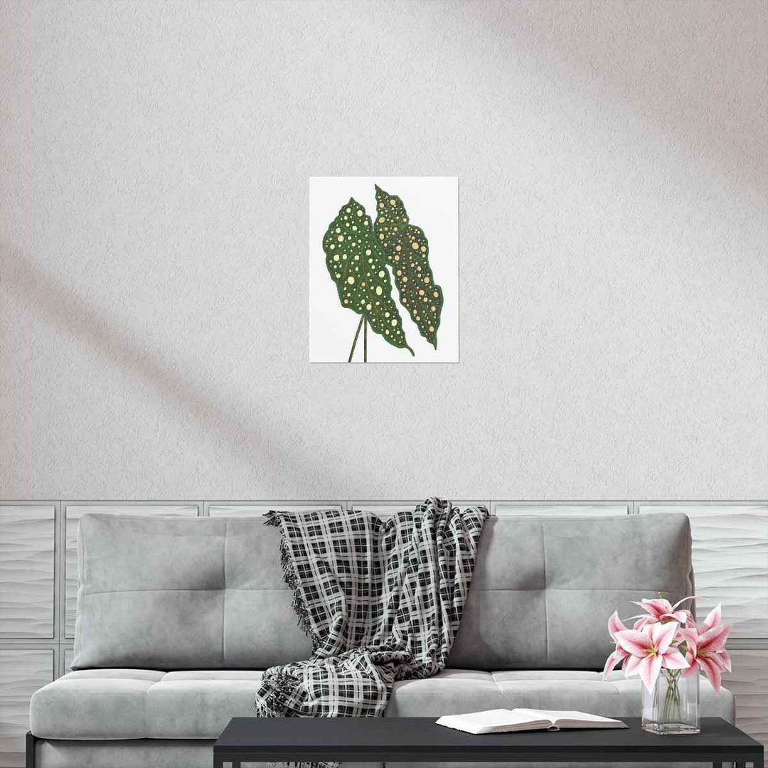 Begonia Maculata Print - Botanical Wall Art on Museum Grade Paper | Matte Finish Unframed