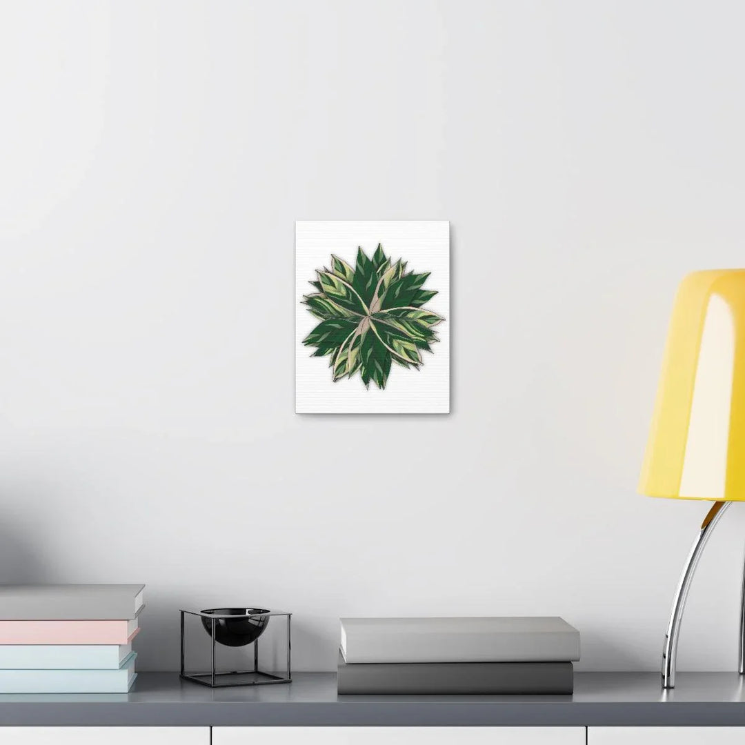 Stromanthe Triostar Canvas - Pastel Stripe Canvas Art Print With Vivid Color Artwork - Laura Christine Photography & Design