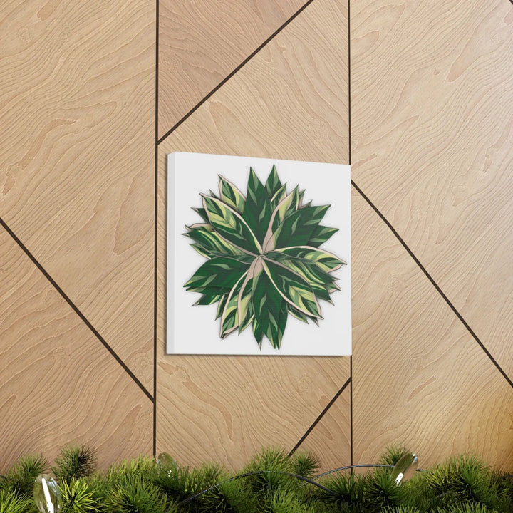 Stromanthe Triostar Canvas - Pastel Stripe Canvas Art Print With Vivid Color Artwork - Laura Christine Photography & Design