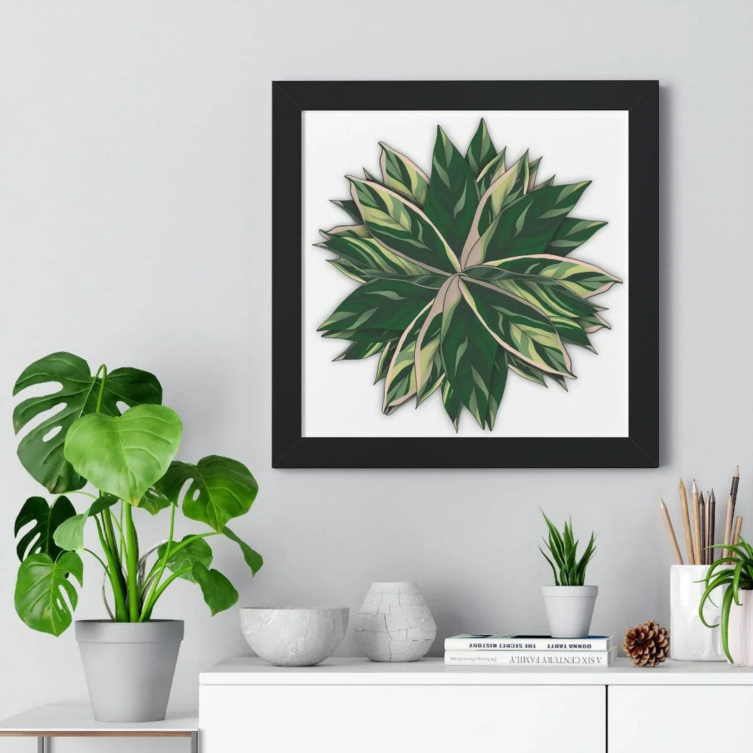 Stromanthe Triostar Framed Print, Poster, Laura Christine Photography & Design, Framed, Home & Living, Indoor, Paper, Posters, Laura Christine Photography & Design, laurachristinedesign.com