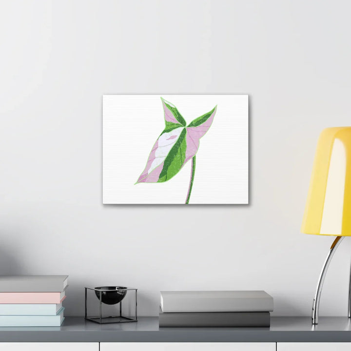 Syngonium Tricolor Canvas | Botanical Canvas Art Print With Matte Finish - Laura Christine Photography & Design