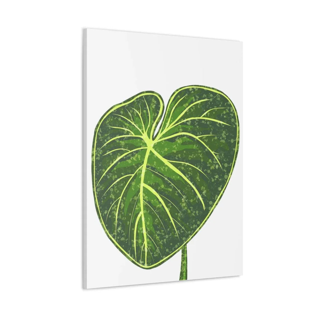 Philodendron Gloriosum Canvas - Stretched Canvas Art Print | Matte Indoor Wall Art - Laura Christine Photography & Design