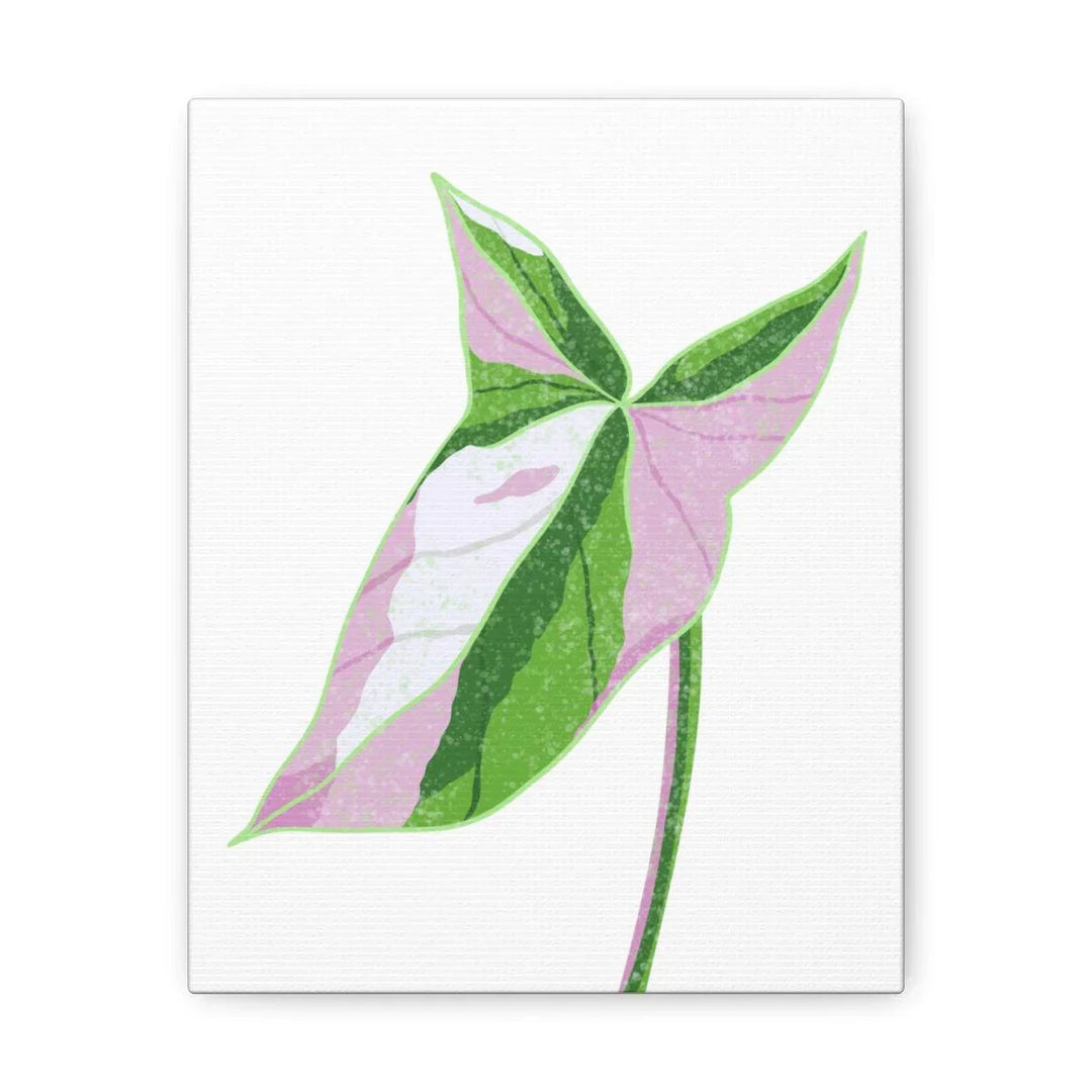 Syngonium Tricolor Canvas | Botanical Canvas Art Print With Matte Finish - Laura Christine Photography & Design