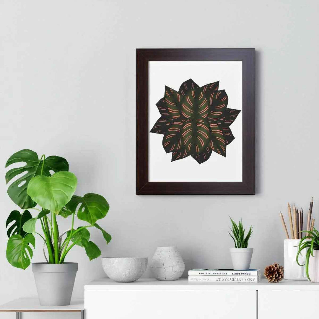 Calathea Pinstripe Print - Framed Botanical Art With Matte Finish & Acrylic Cover