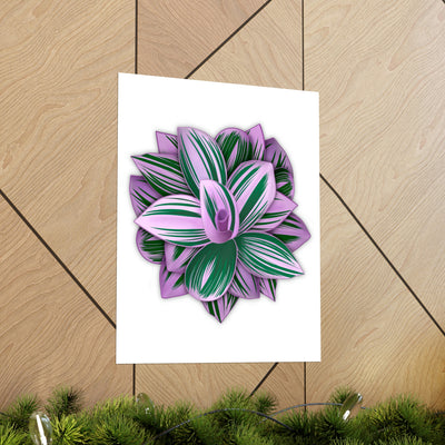 Tradescantia Nanouk Print