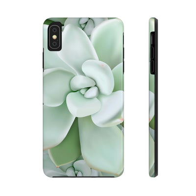 Pachyveria Haagei Succulent Phone Case, Phone Case, Printify, Accessories, Glossy, iPhone Cases, Matte, Phone accessory, Phone Cases, Samsung Cases, Laura Christine Photography & Design, laurachristinedesign.com