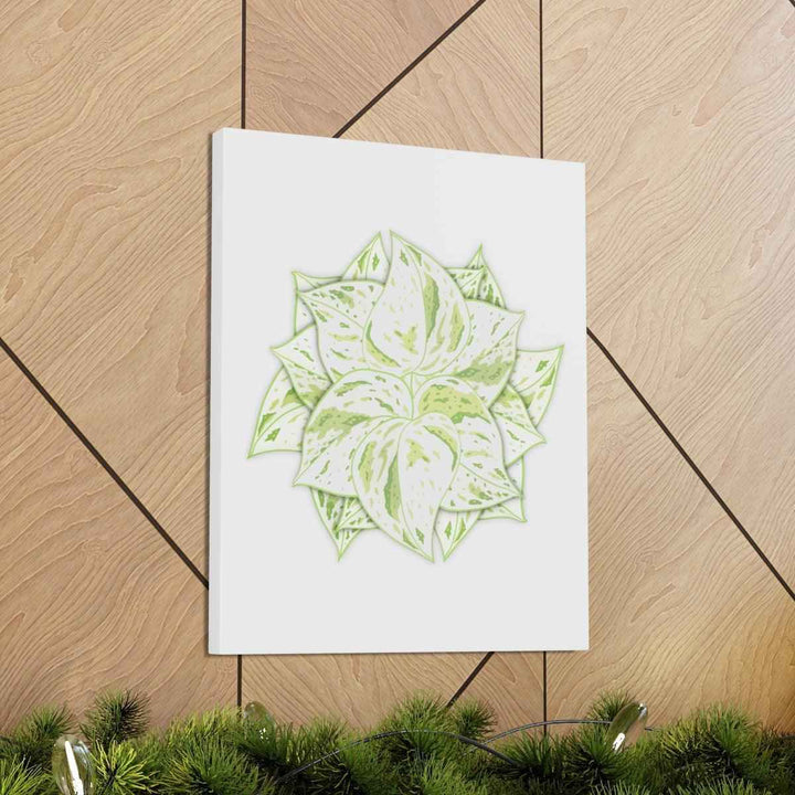 Snow Queen Pothos Canvas – Variegated Leaf Canvas Art Print | Durable Cotton