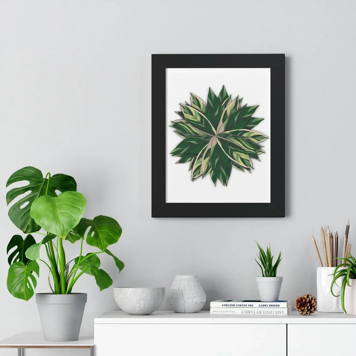 Stromanthe Triostar Framed Print, Poster, Laura Christine Photography & Design, Framed, Home & Living, Indoor, Paper, Posters, Laura Christine Photography & Design, laurachristinedesign.com