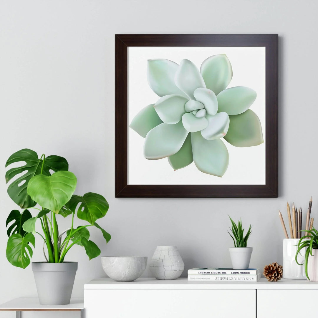 Pachyveria Haagei Succulent Framed Print, Poster, Printify, Framed, Home & Living, Indoor, Paper, Posters, Laura Christine Photography & Design, laurachristinedesign.com