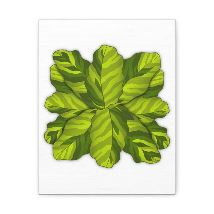 Calathea Yellow Fusion Canvas – Botanical Canvas Print With Unique Leaf Pattern Art - Laura Christine Photography & Design
