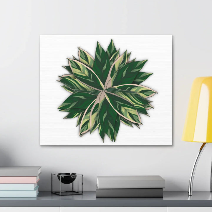 Stromanthe Triostar Canvas - Pastel Stripe Canvas Art Print With Vivid Color Artwork - Laura Christine Photography & Design