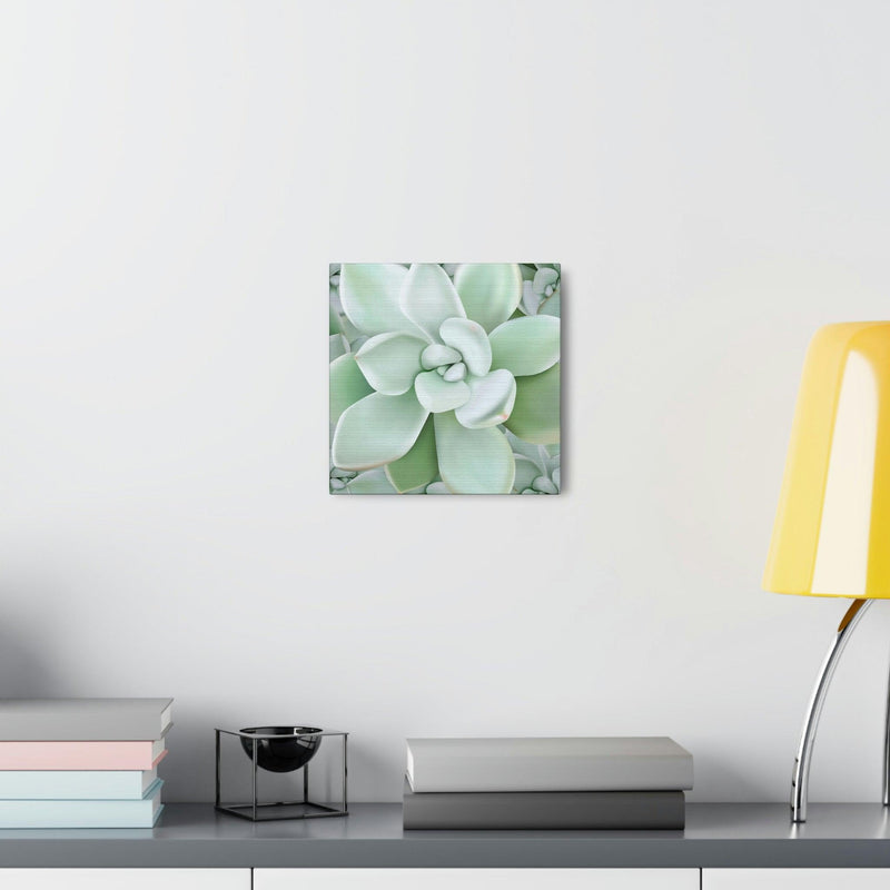 Pachyveria Haagei Succulent Pattern Canvas, Canvas, Printify, Art & Wall Decor, Canvas, Hanging Hardware, Home & Living, Indoor, Laura Christine Photography & Design, laurachristinedesign.com