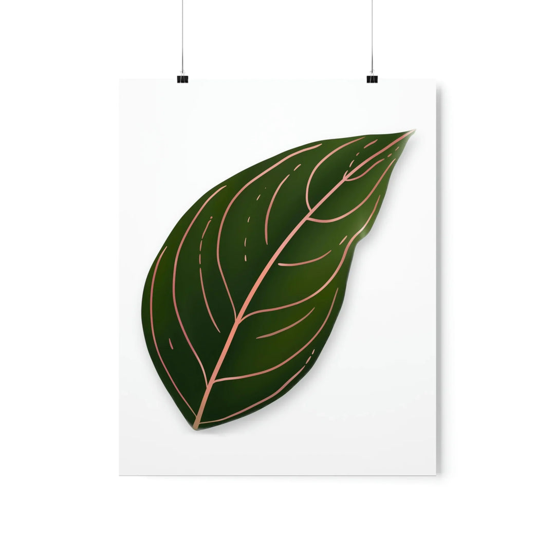 Aglaonema Rotundum Print – Botanical Wall Art on Museum Grade Paper | Unframed