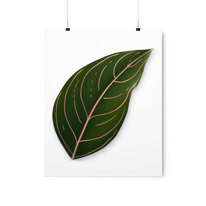 Aglaonema Rotundum Print – Botanical Wall Art on Museum Grade Paper | Unframed