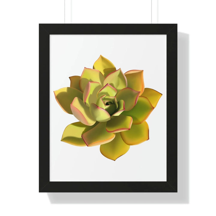 Noble Aeonium Succulent Framed Print, Poster, Printify, Framed, Home & Living, Indoor, Paper, Posters, Laura Christine Photography & Design, laurachristinedesign.com