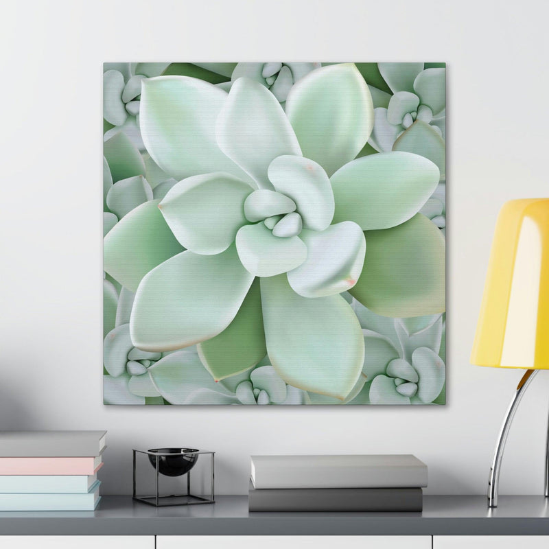 Pachyveria Haagei Succulent Pattern Canvas, Canvas, Printify, Art & Wall Decor, Canvas, Hanging Hardware, Home & Living, Indoor, Laura Christine Photography & Design, laurachristinedesign.com