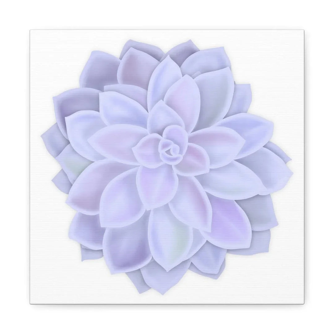 Graptopetalum 'Murasaki' Succulent Canvas, Canvas, Laura Christine Photography & Design, Art & Wall Decor, Canvas, Hanging Hardware, Home & Living, Indoor, Laura Christine Photography & Design, laurachristinedesign.com