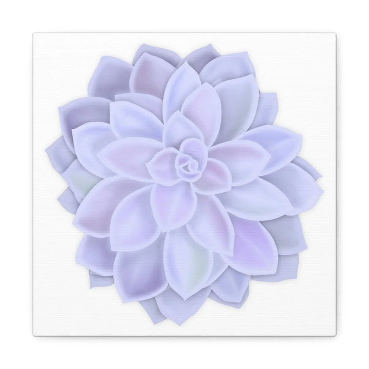 Graptopetalum 'Murasaki' Succulent Canvas, Canvas, Laura Christine Photography & Design, Art & Wall Decor, Canvas, Hanging Hardware, Home & Living, Indoor, Laura Christine Photography & Design, laurachristinedesign.com