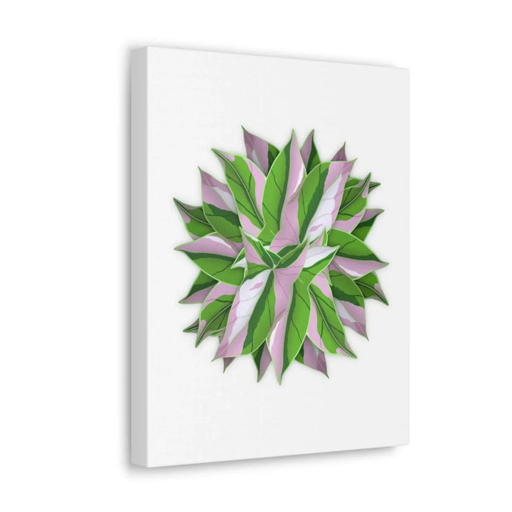 Tricolor Syngonium Canvas - Durable Canvas Art Print With Matte Finish & Botanical Design - Laura Christine Photography & Design