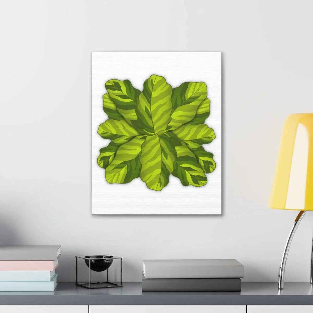 Calathea Yellow Fusion Canvas – Botanical Canvas Print With Unique Leaf Pattern Art