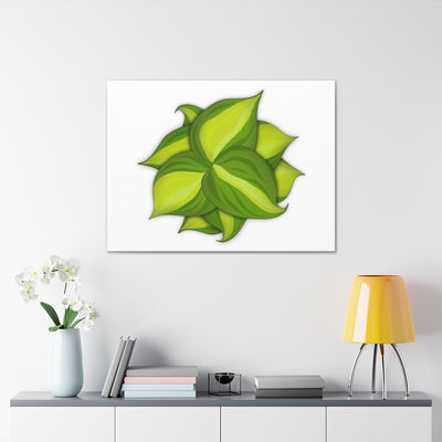 Philodendron Brasil Canvas