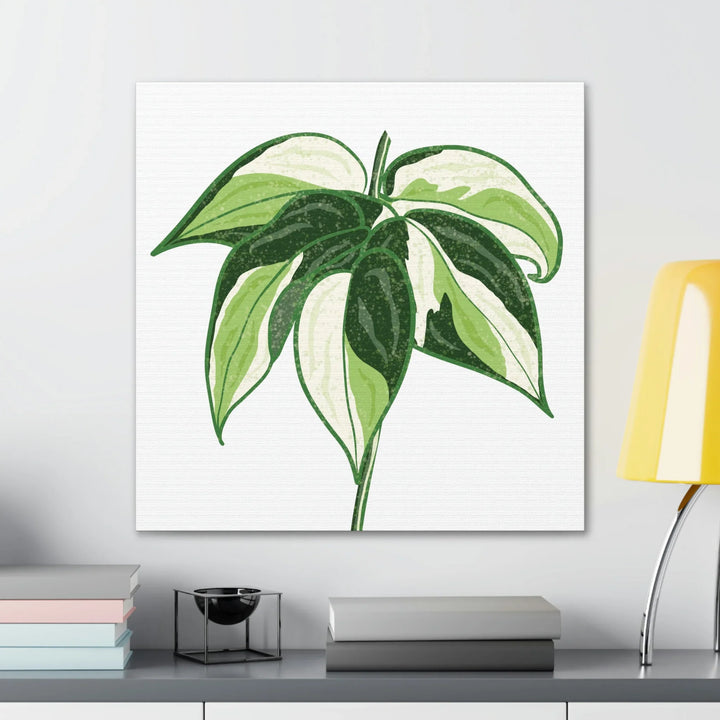 Philodendron Canvas Print - Cream Splash Variegated Plant Art on Matte Cotton Canvas