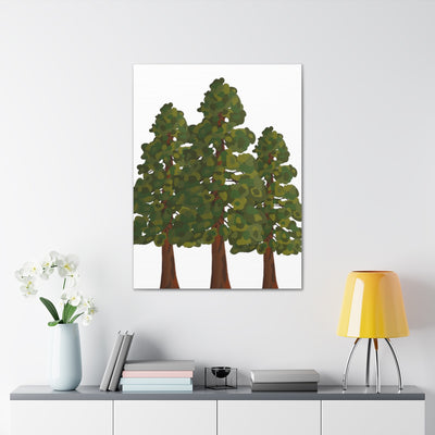 Coastal Redwoods Canvas