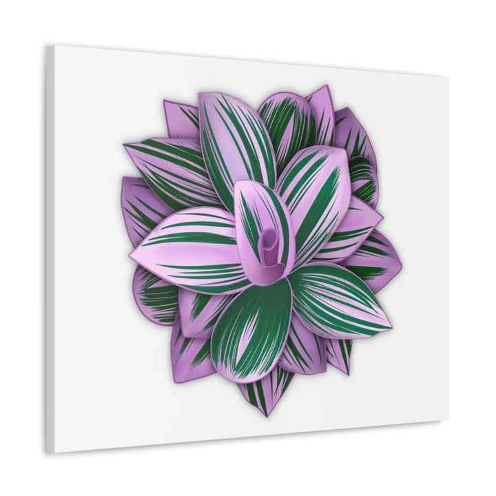 Tradescantia Nanouk Canvas – Botanical Canvas Art Print | Matte Finish Wall Decor - Laura Christine Photography & Design