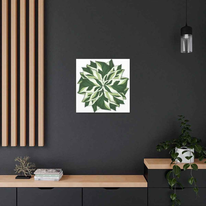 Calathea White Fusion Canvas | Indoor Wall Art - Matte Finish Botanical Canvas Art Print