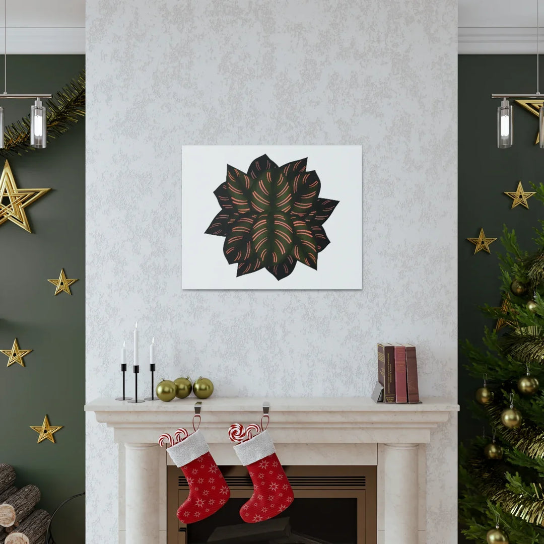 Calathea Pinstripe Canvas – Botanical Canvas Art Print | Matte Finish Wall Decor