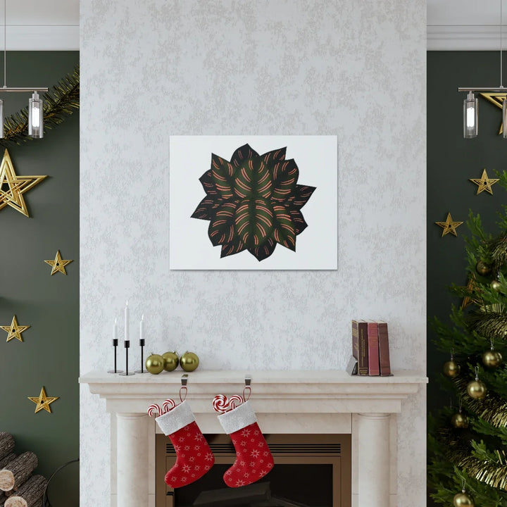 Calathea Pinstripe Canvas – Botanical Canvas Art Print | Matte Finish Wall Decor