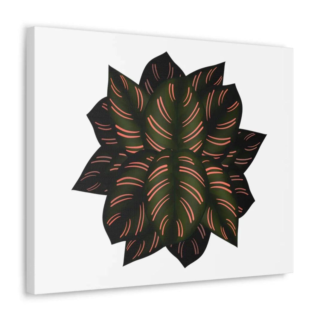 Calathea Pinstripe Canvas – Botanical Canvas Art Print | Matte Finish Wall Decor