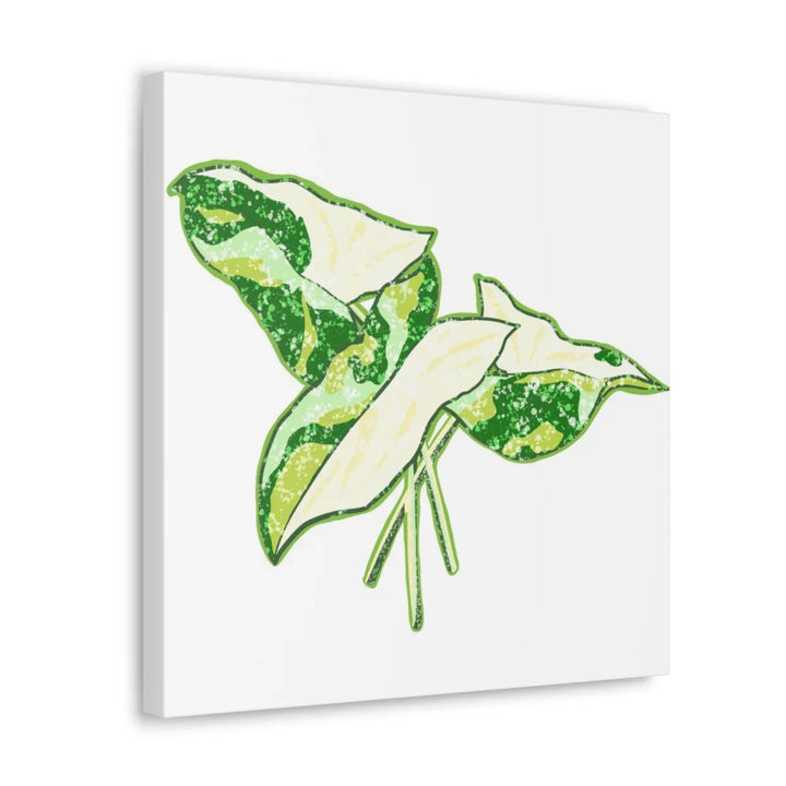 Marble Syngonium Canvas - Botanical Canvas Art Print | Durable Cotton Matte Finish - Laura Christine Photography & Design