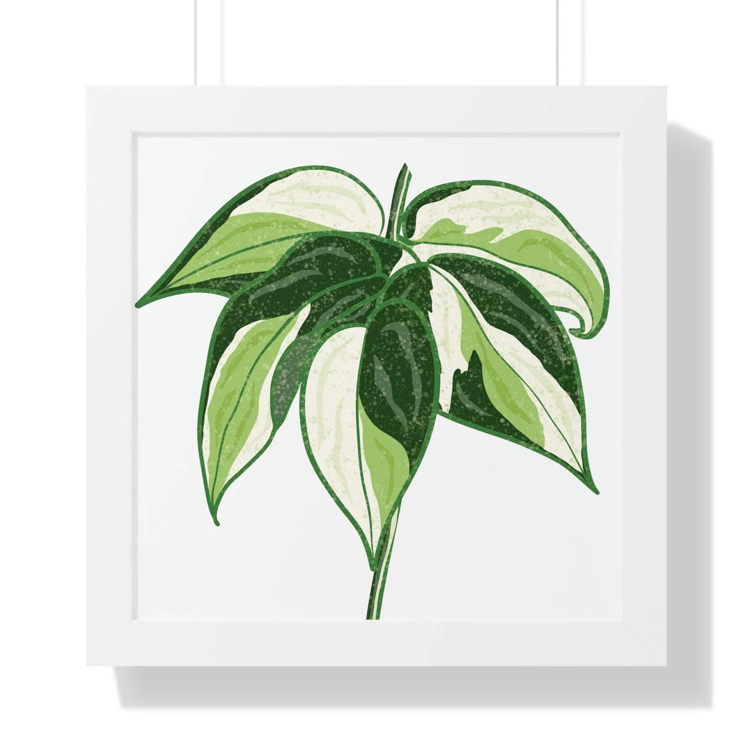 Philodendron 'Cream Splash' Framed Print, Poster, Printify, Framed, Home & Living, Indoor, Paper, Posters, Laura Christine Photography & Design, laurachristinedesign.com
